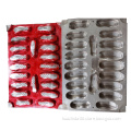 China Specialty Manufacturer: Huazhida Customize Small Foam Shoe Making Mould